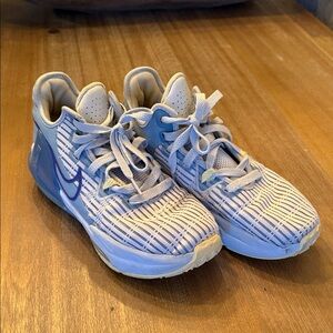 Nike Kid Lebrons